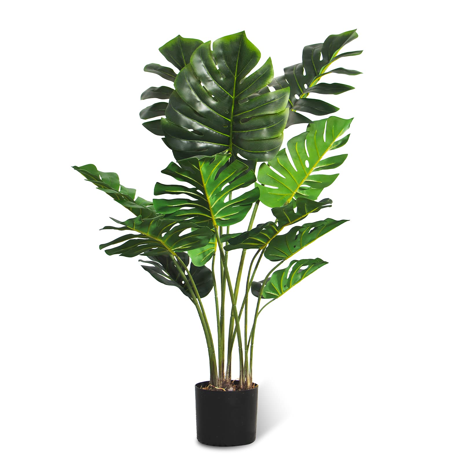 FLOWORLD in living room and office illustrating versatile decorative use