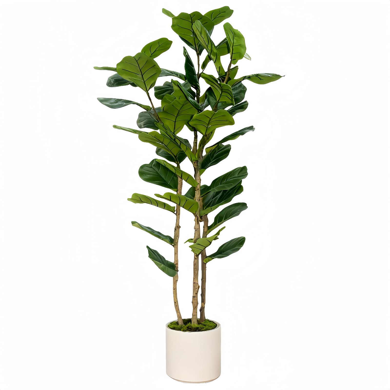 FLRLIVING front view of 5ft fiddle leaf fig tree adds instant greenery