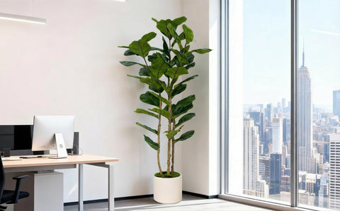 FLRLIVING tree beside sofa demonstrates height and scale benefit