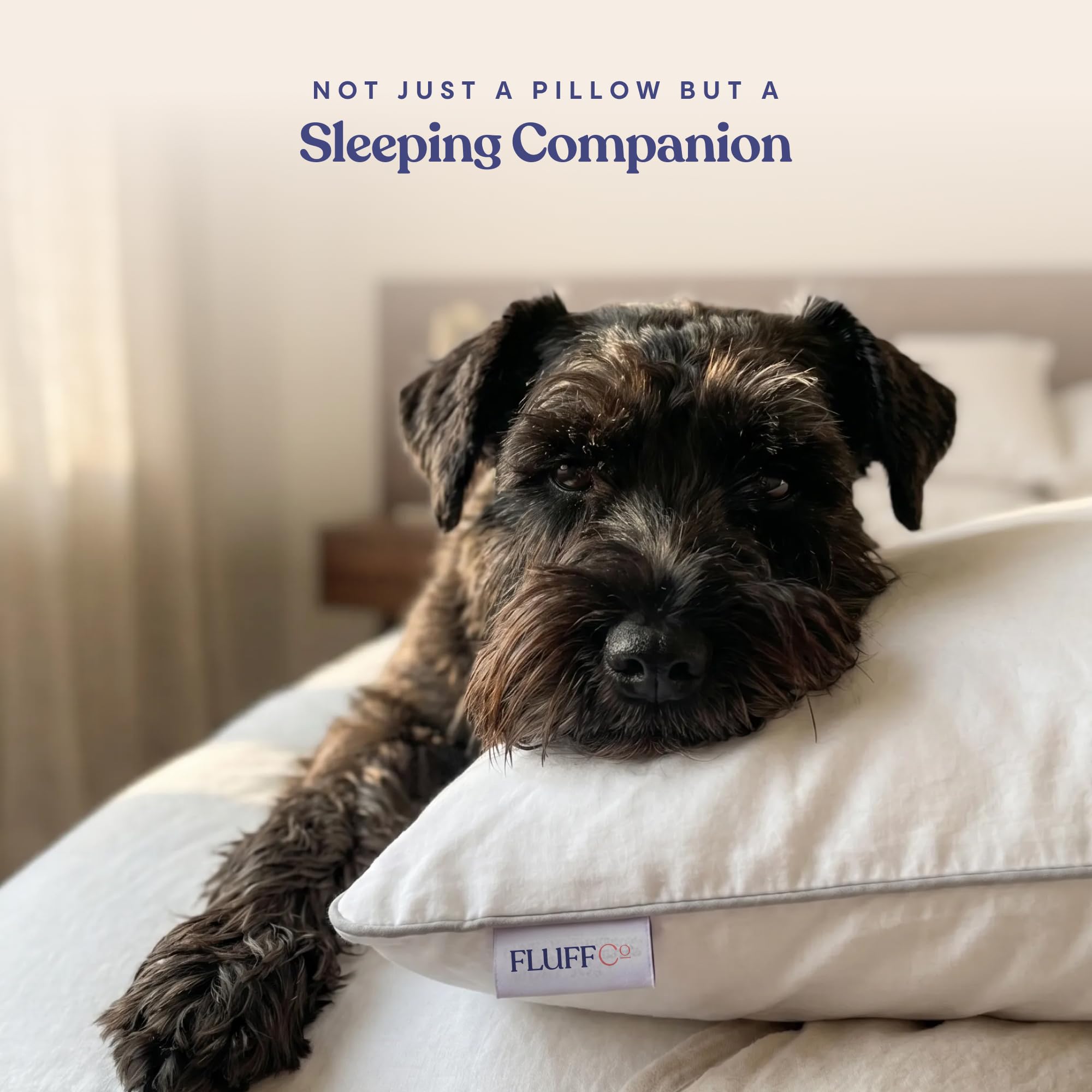FluffCo double-needle edge with grey cording for durability and shape