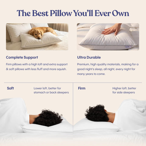 FluffCo standard/queen pillow next to ruler to show scale and true-to-size loft
