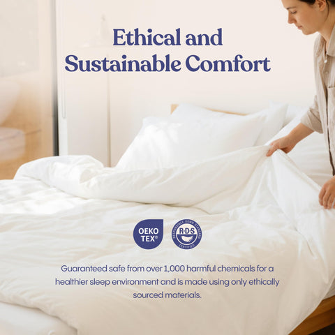 FluffCo pillow aired in sunlight outdoors demonstrating natural refresh and loft revival