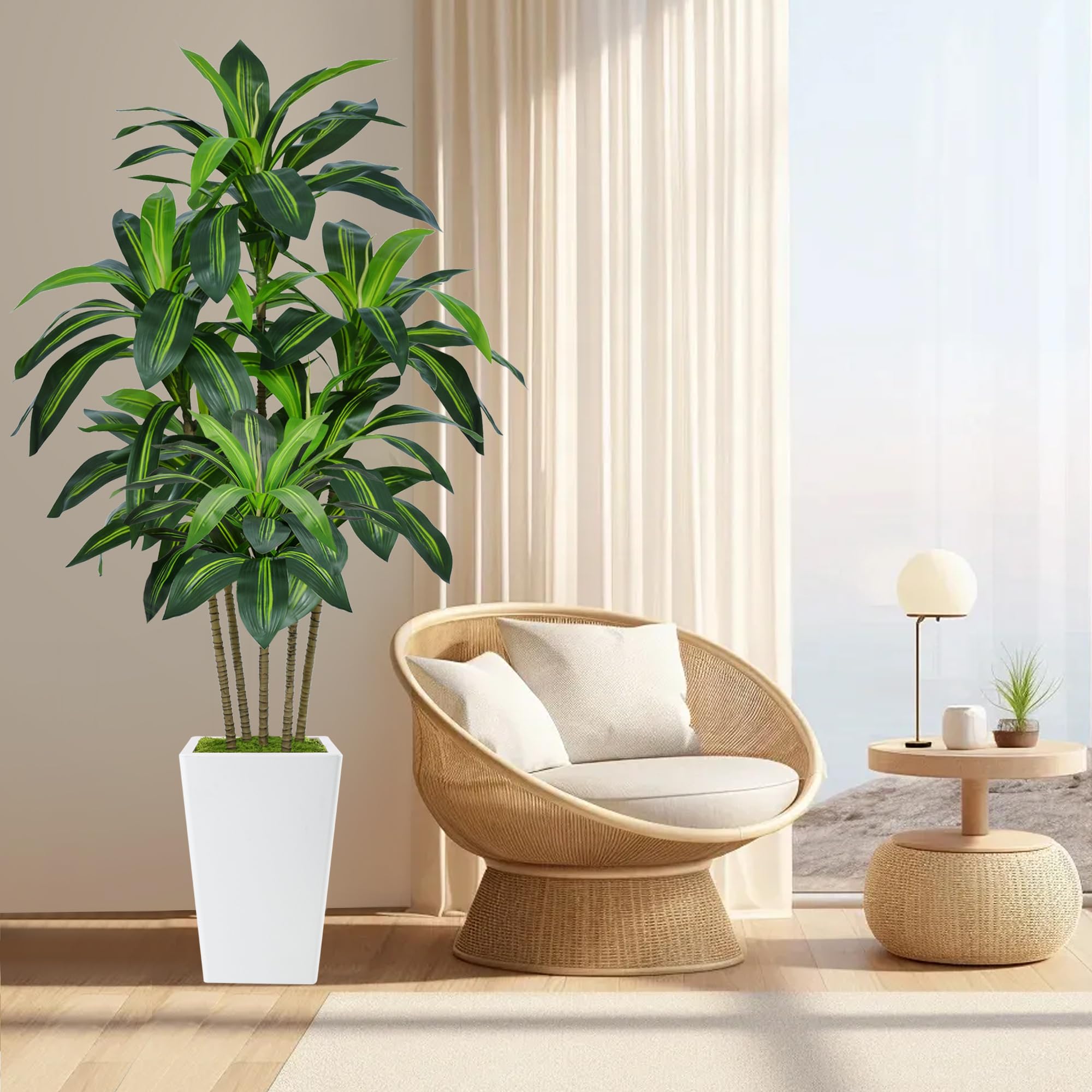 Flydeer dracaena beside sofa showing scale and space-saving vertical design