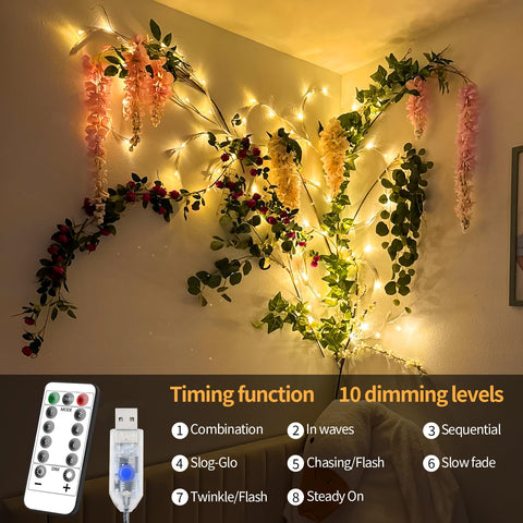 FNHMSL remote and timer controls displayed with clear mode options for easy control