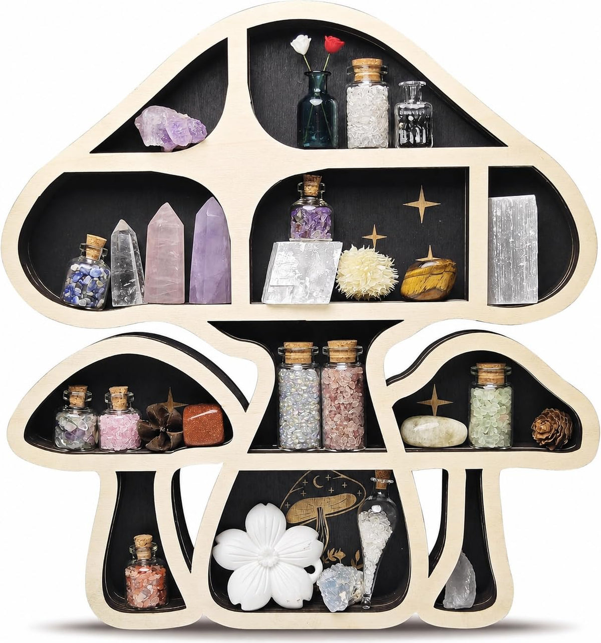 FNYDOX mushroom shelf front view showing whimsical shape and display benefit