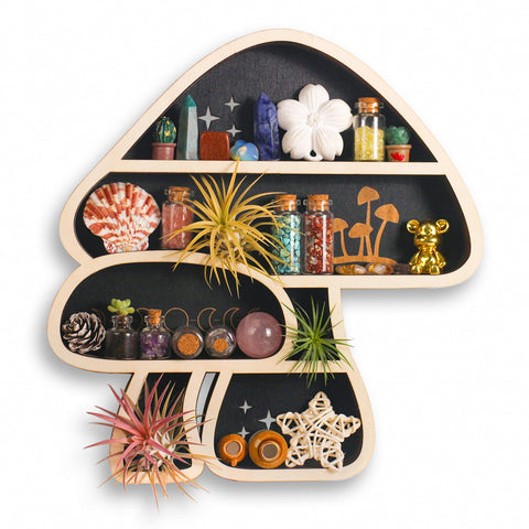 FNYDOX mushroom shelf front view showing cute shape and neat display