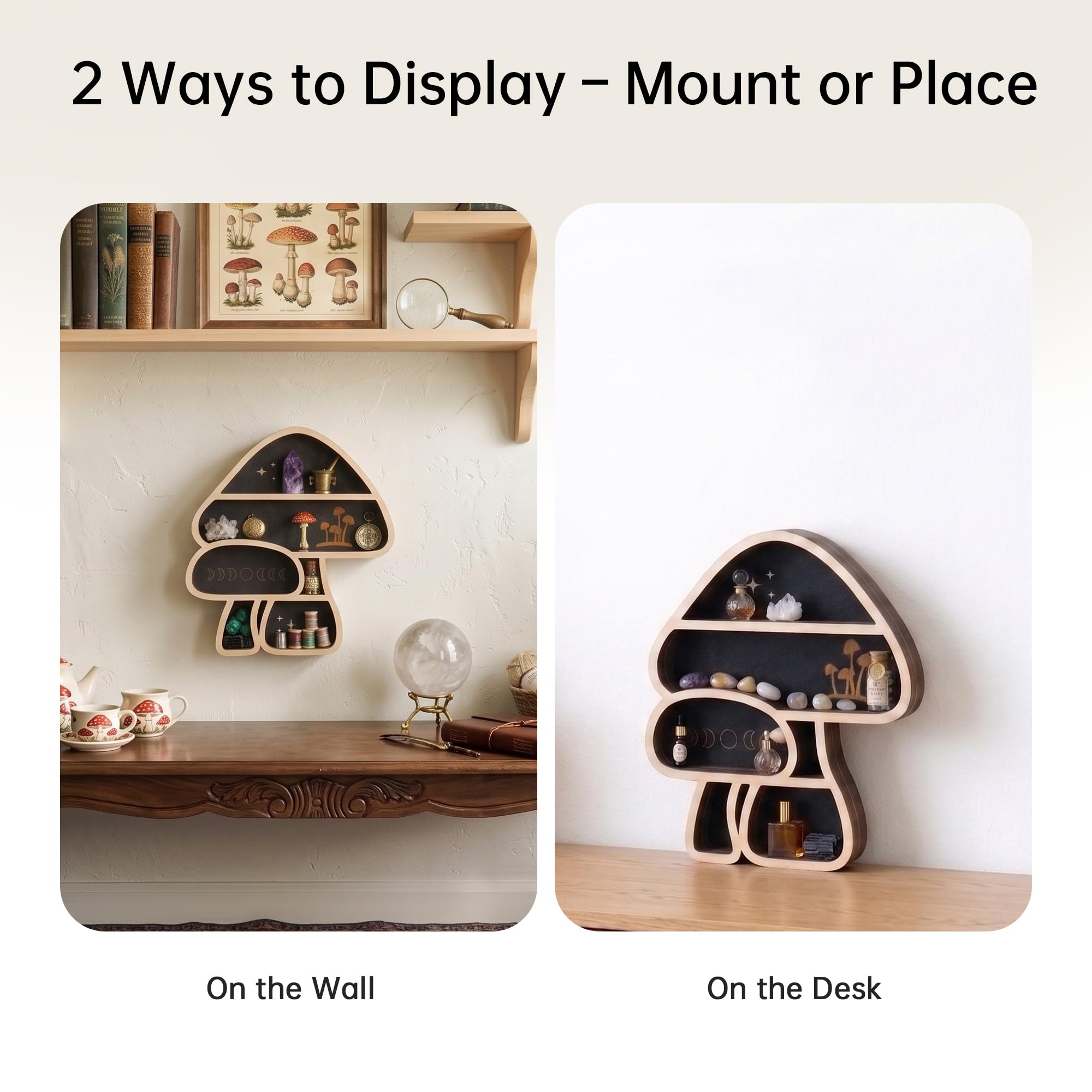 FNYDOX hand holding shelf to show scale and compact storage benefit