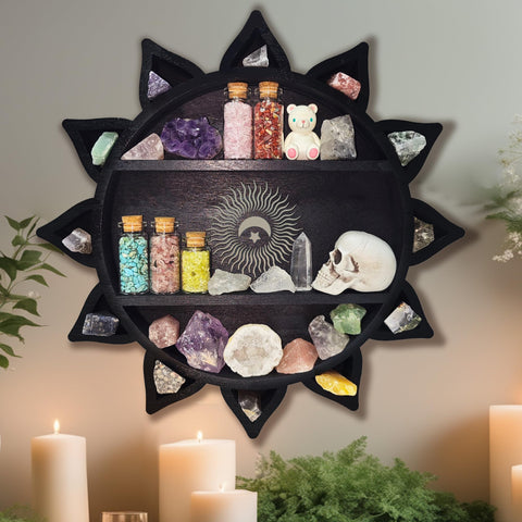 FNYDOX shelves filled with collectibles showing versatile storage benefit