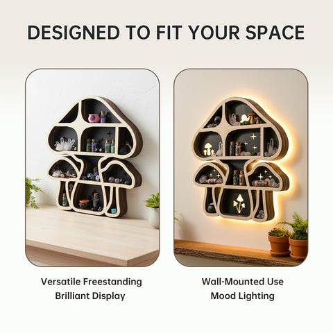 FNYDOX side profile showing shelf depth and stable storage benefit