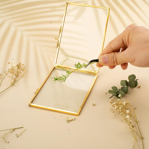 FOCHIER F curved tweezers beside frames for precise delicate placement