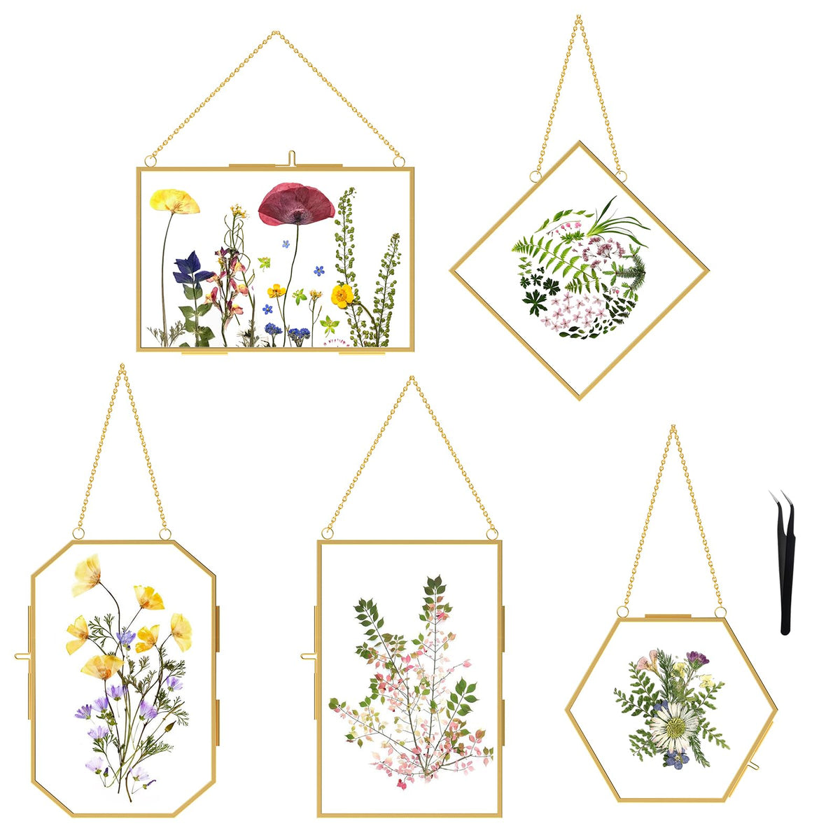 FOCHIER F front view double glass frame showing floating pressed flower benefit