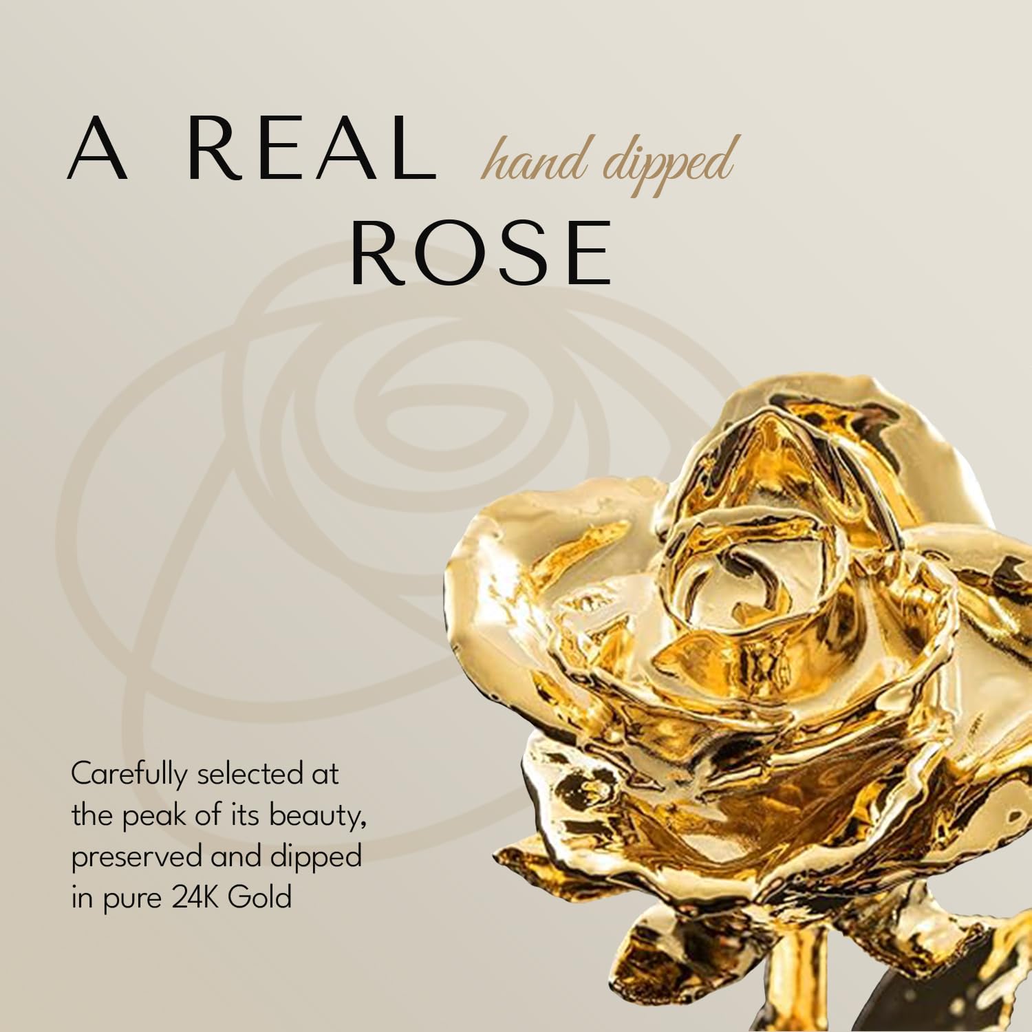 Forever Rose close-up of 24K gold petals highlighting Forever Rose luxurious finish