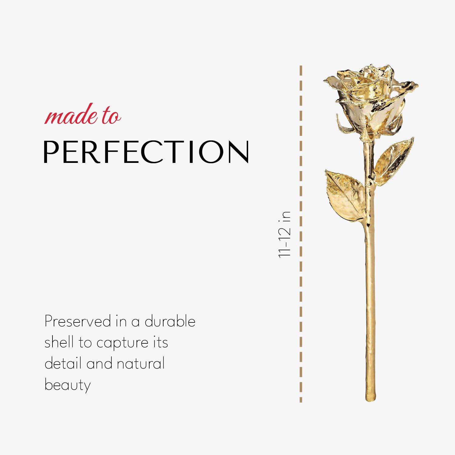 Forever Rose side profile of leaves and stem showing Forever Rose natural preserved detail