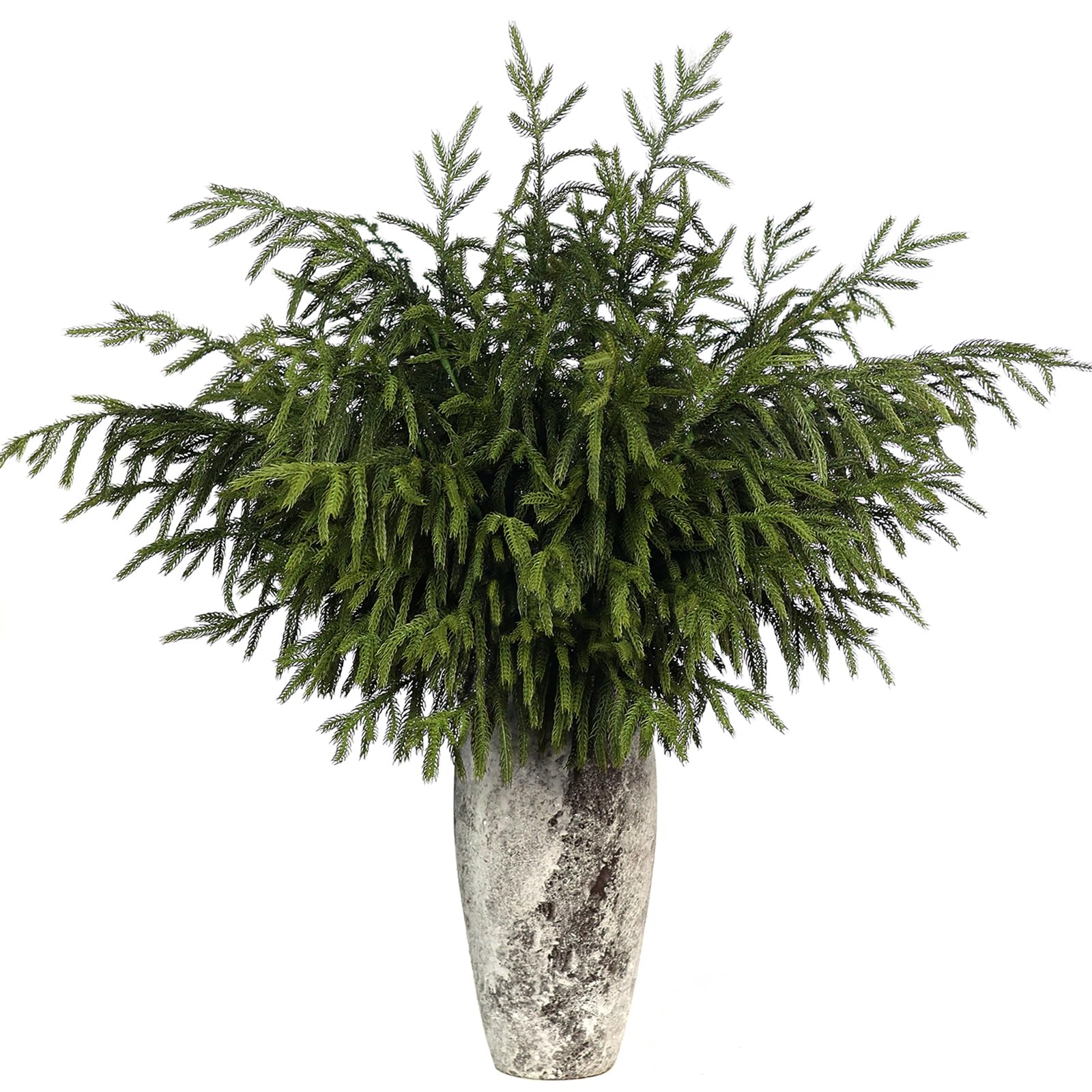 FOTEEWL front view of four 36-inch Norfolk pine branches showing full pack and shape benefits