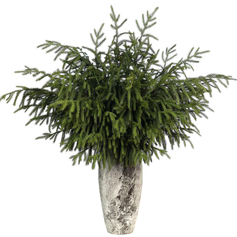 FOTEEWL front view of four 36-inch Norfolk pine branches showing full pack and shape benefits