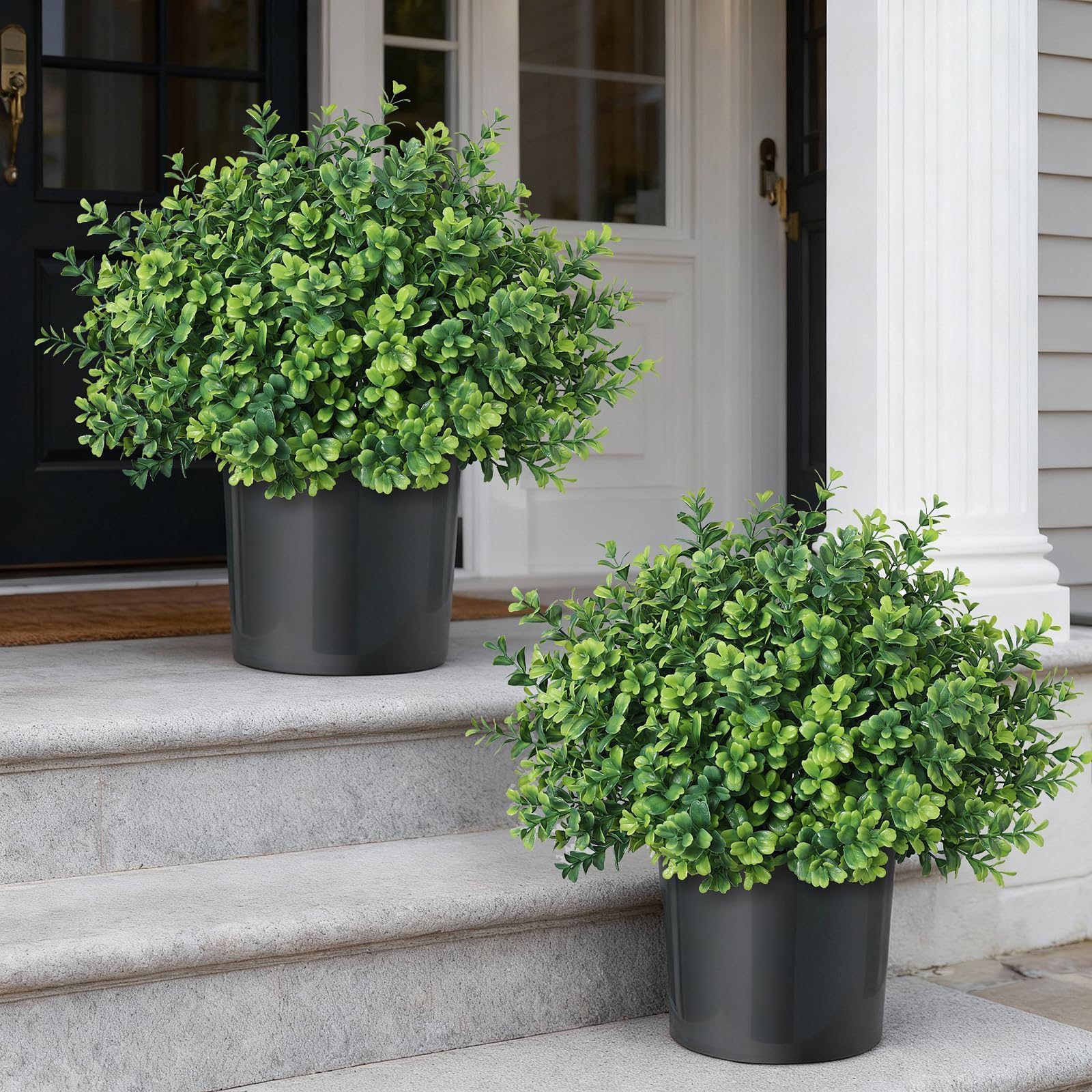 FOTEEWL front view of two potted boxwood topiary trees adding curb appeal