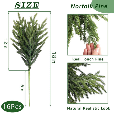 FOTEEWL branches beside ruler illustrating 18-inch length