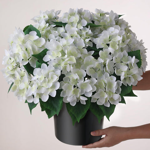 FOTEEWL side profile showing perfect spherical topiary shape retained