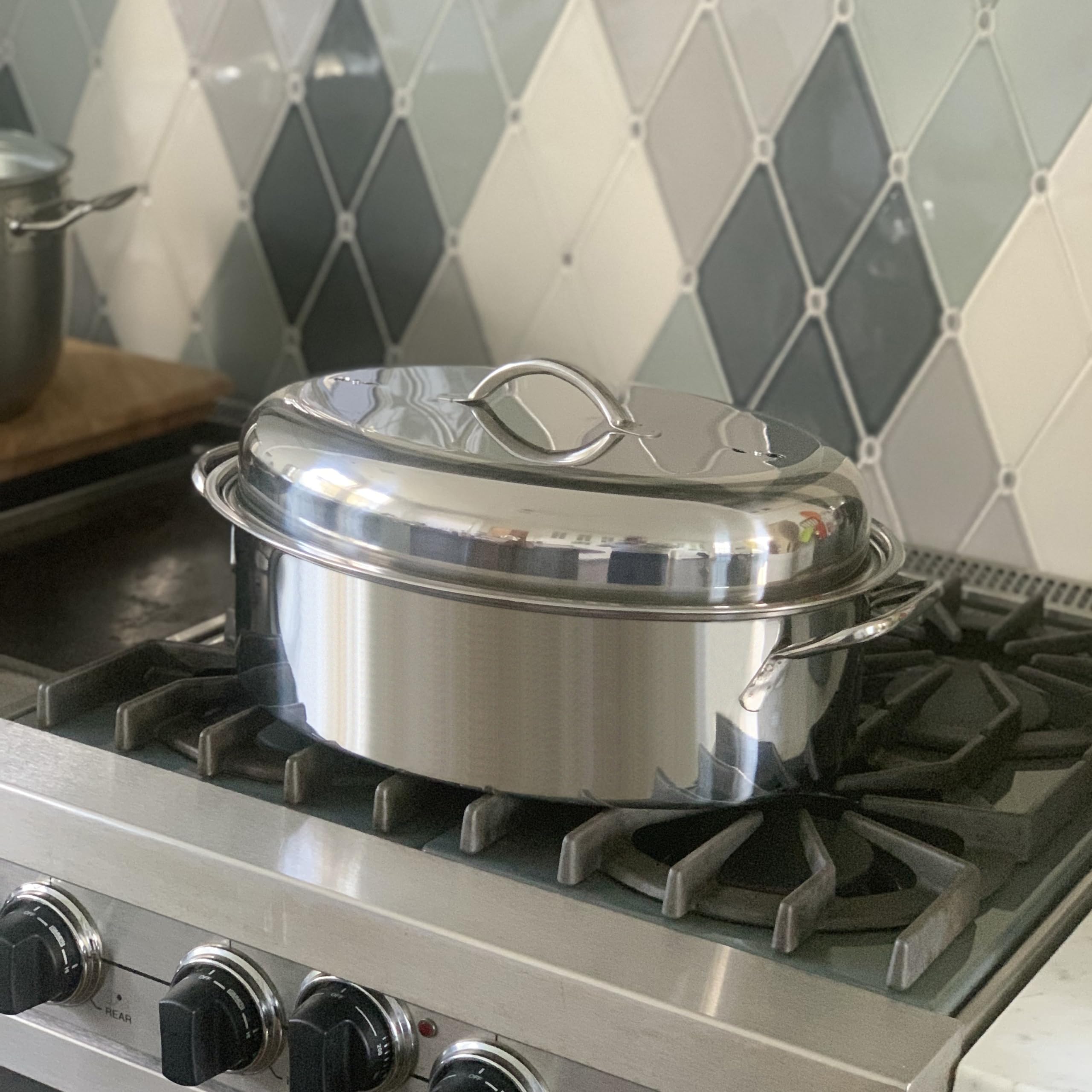 Fox Run interior showing pan juices collected beneath rack for basting