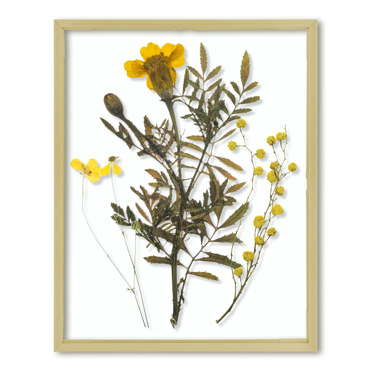 Frametory 11x14 gold frame front view shows sleek modern display benefit