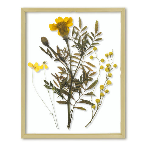 Frametory 11x14 gold frame front view shows sleek modern display benefit