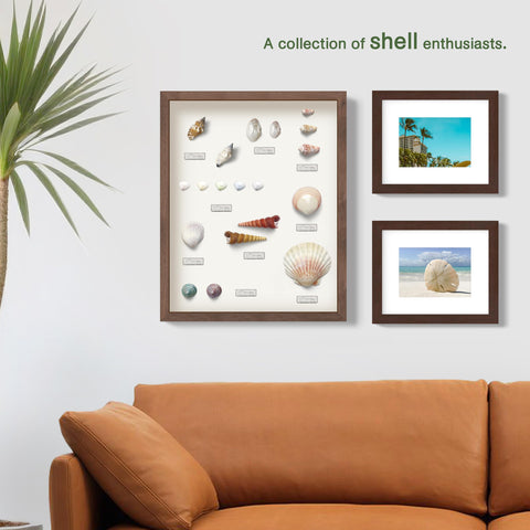 FrameWorks lifestyle shot on shelf showing white frame enhancing home decor