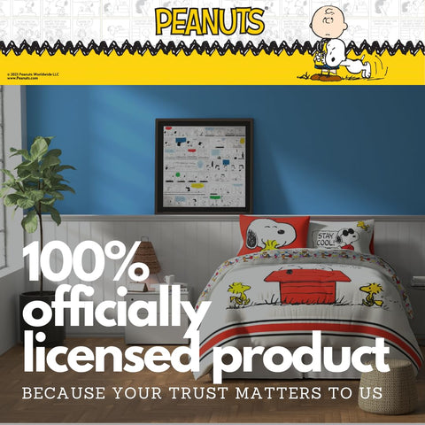 Franco styled bedroom with Peanuts bedding showing playful decor and inviting comfort