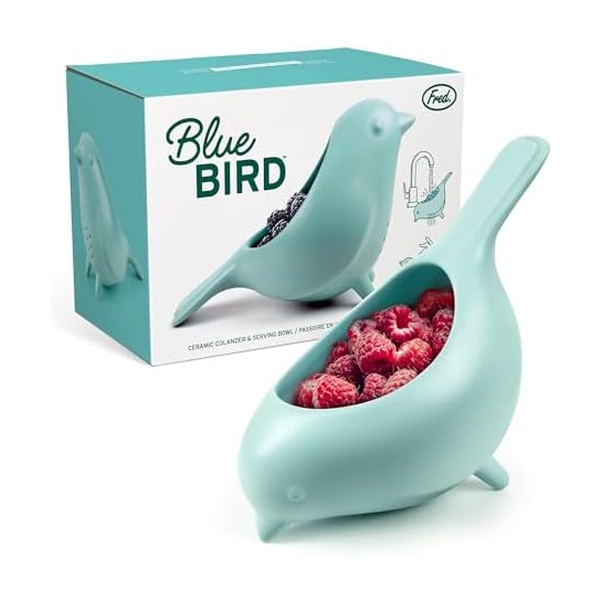 Fred & Friends Blue Bird front view showing bowl shape and appeal