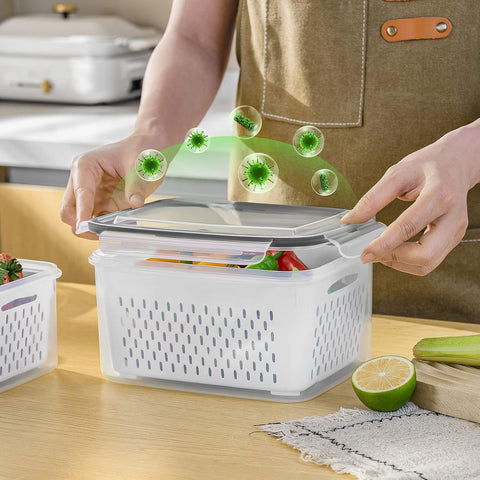 Freshmage hand holding container showing size and portability for meal prep