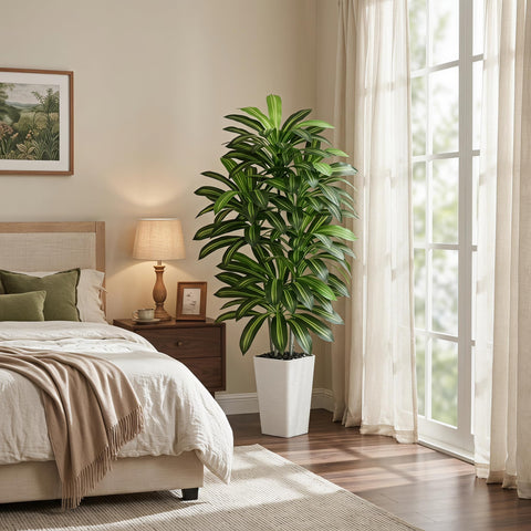 FSOHOI dracaena in office setting brings low-maintenance greenery to workspace