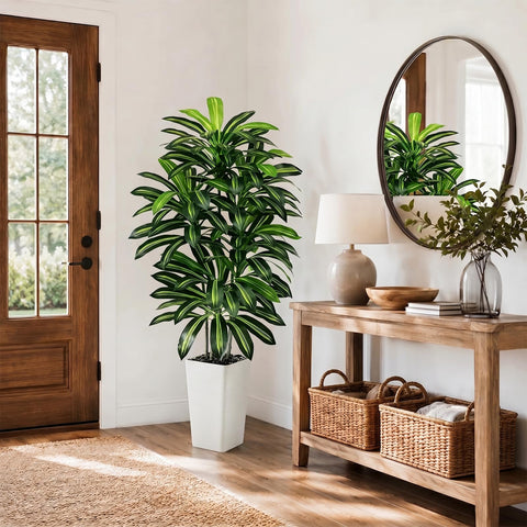 FSOHOI dracaena white planter filled with pebbles for clean finish