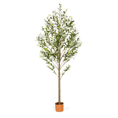 FUKLUNGYOW 6ft olive tree front view showing full realistic canopy and instant decor appeal