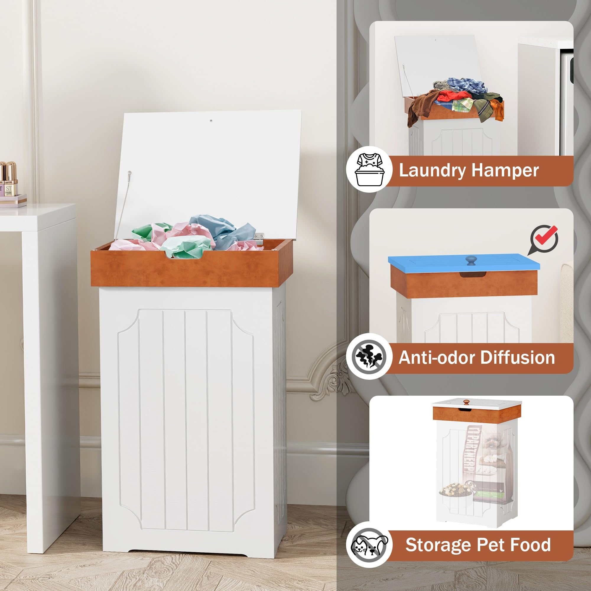 Function Home next to common objects for scale showing compact footprint