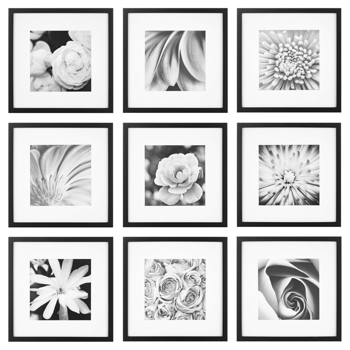 Gallery Perfect front view showing nine black 12x12 frames, cohesive display benefit