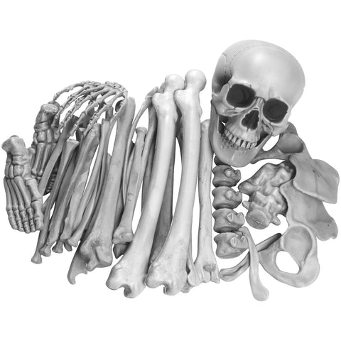 GameXcel front view of bag of bones showing all pieces and portability