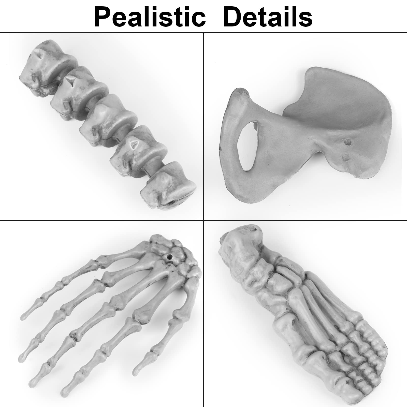 GameXcel life-size bones next to a foot showing accurate scale