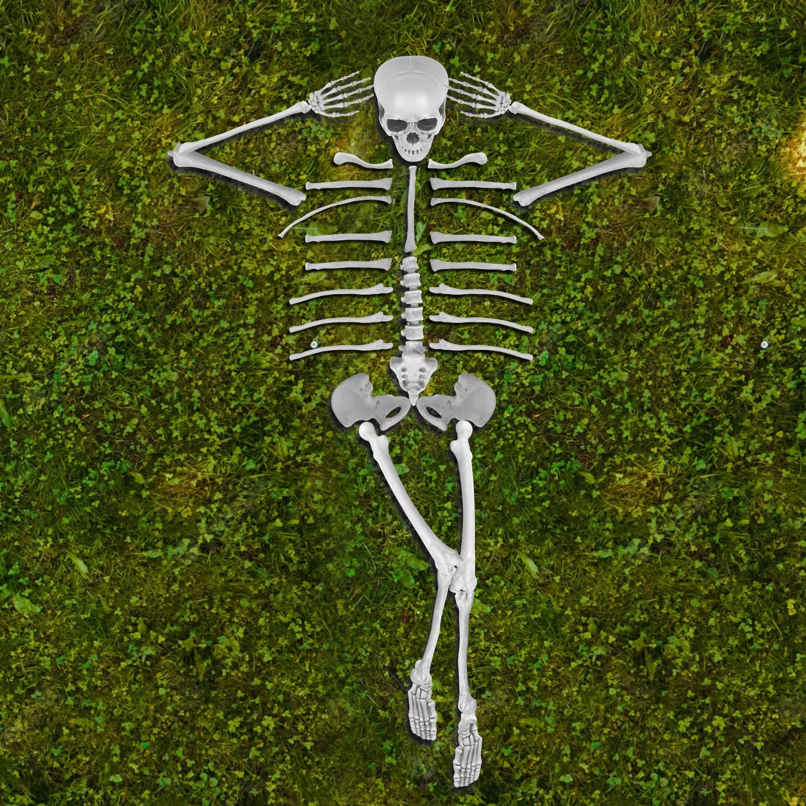 GameXcel textured bone surface close-up showing molded realism