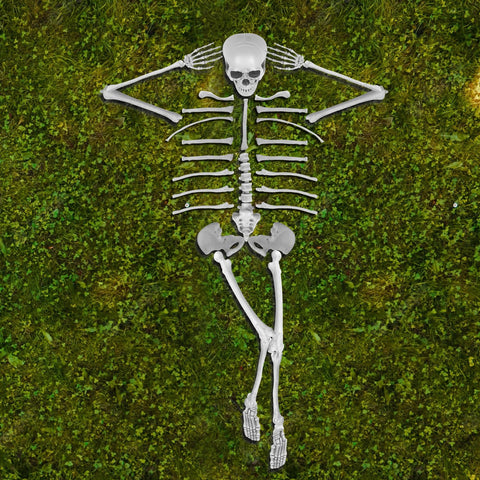 GameXcel textured bone surface close-up showing molded realism