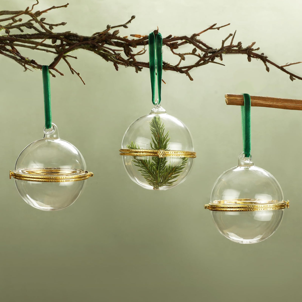 Gemscream clear ornament on tree showcasing contents and sparkle