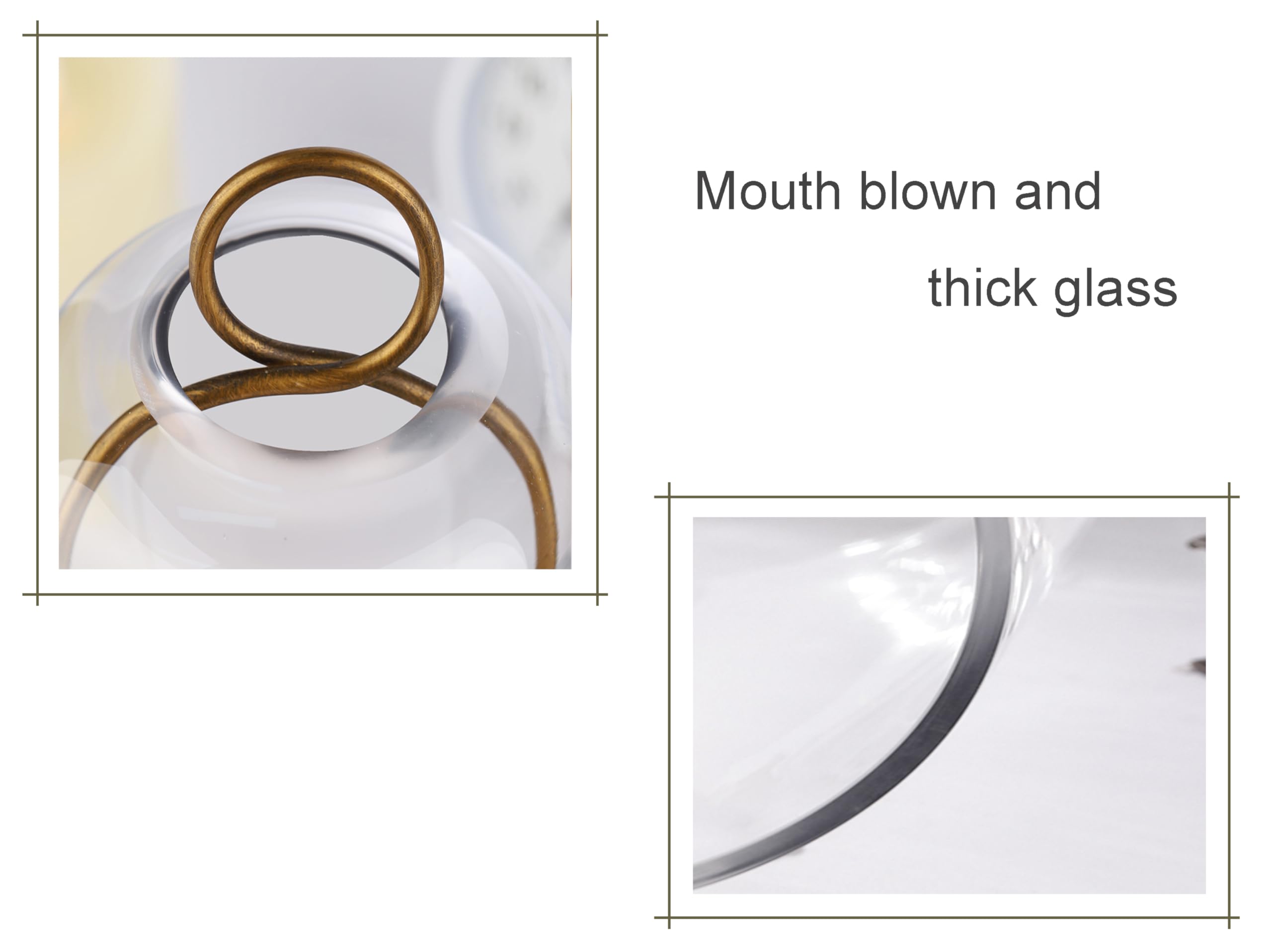 Generic brass displaying small plant inside dome showing protective benefit