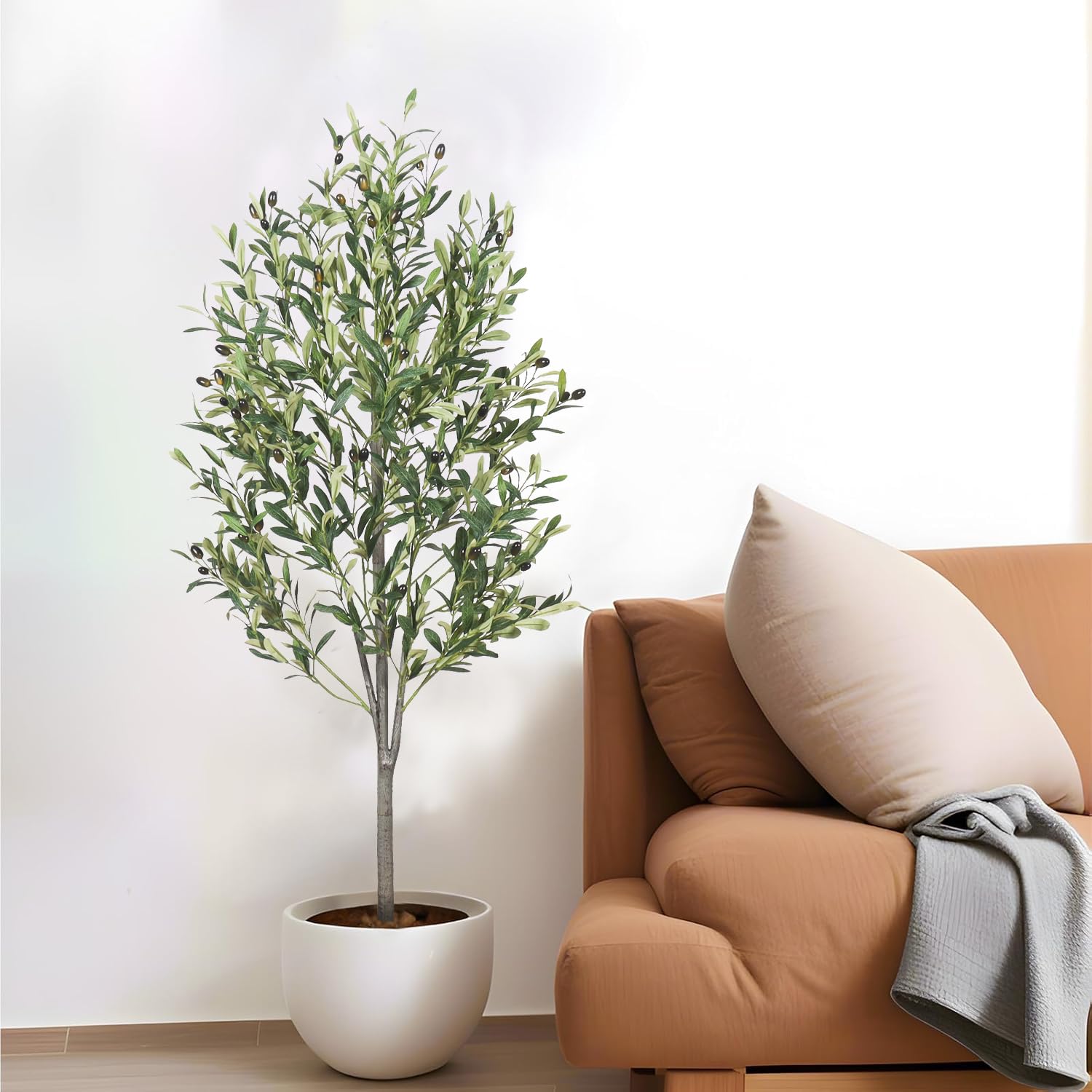 Generic office corner display with olive tree creating professional warmth