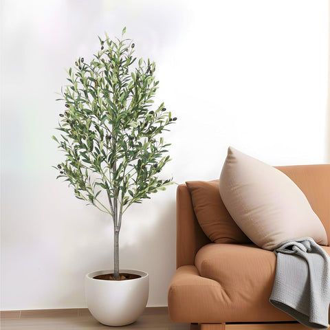 Generic office corner display with olive tree creating professional warmth