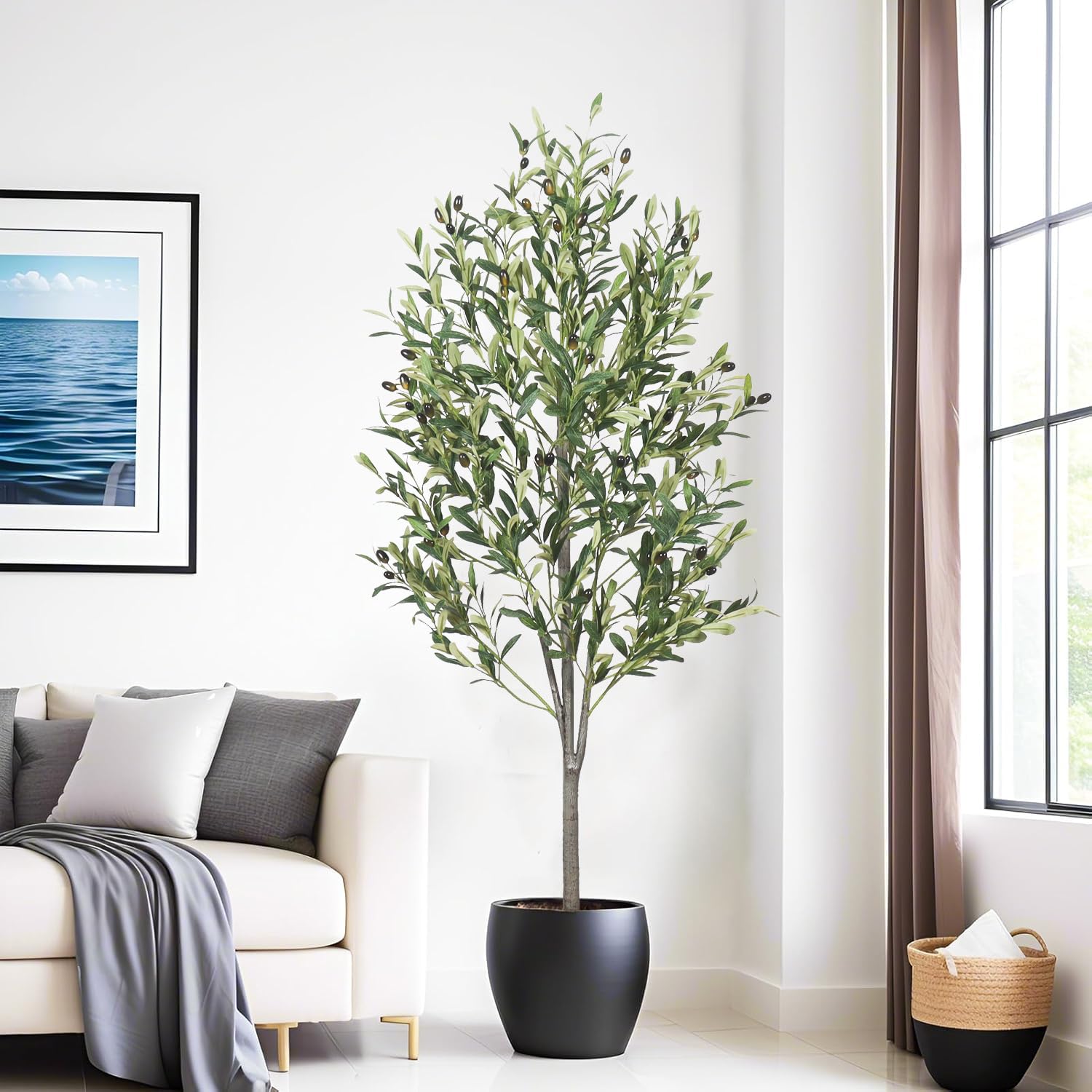 Generic olive tree styled in living room for low-maintenance greenery