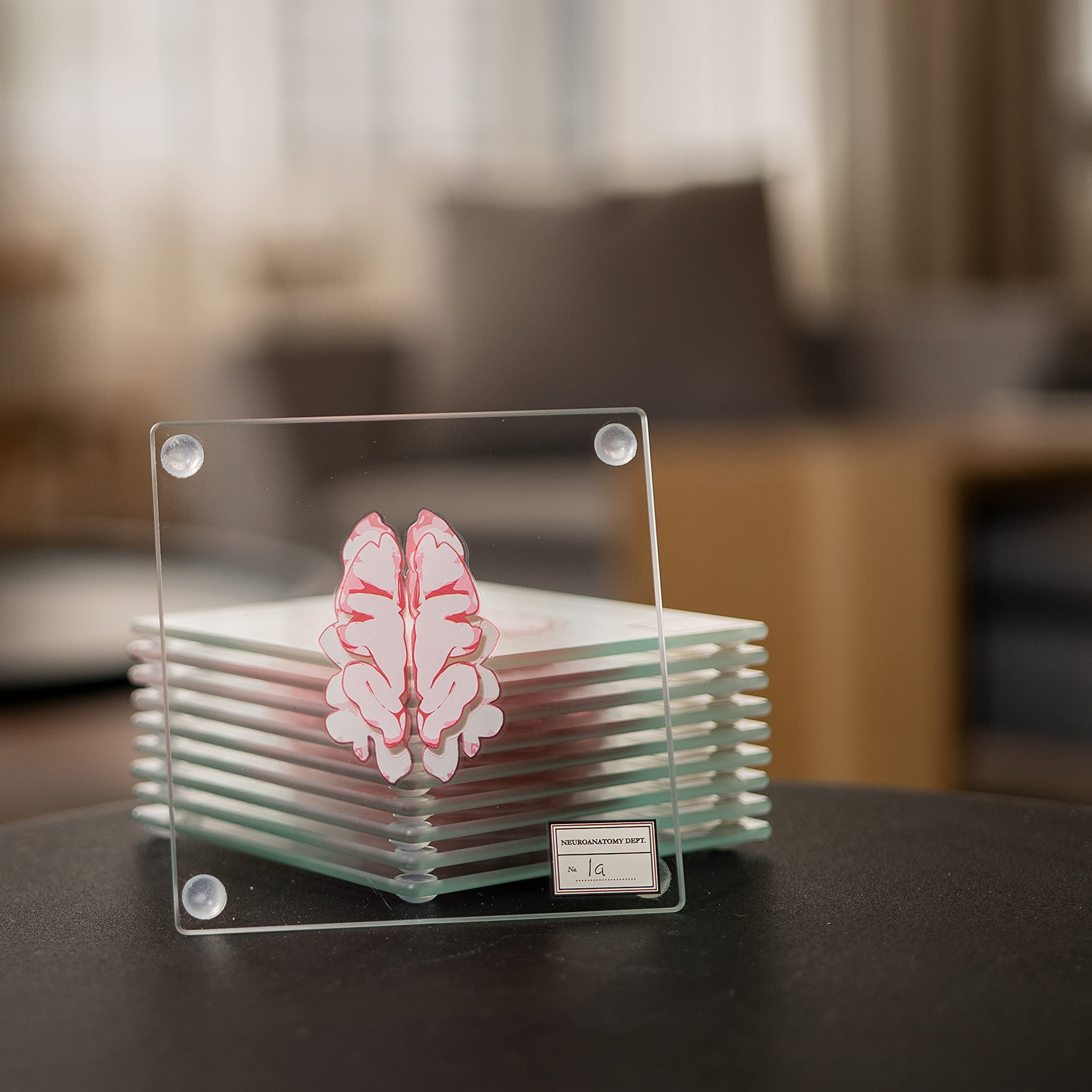 Generix Geek on a coffee table in a study, adds science-themed decor