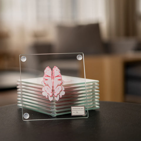 Generix Geek on a coffee table in a study, adds science-themed decor