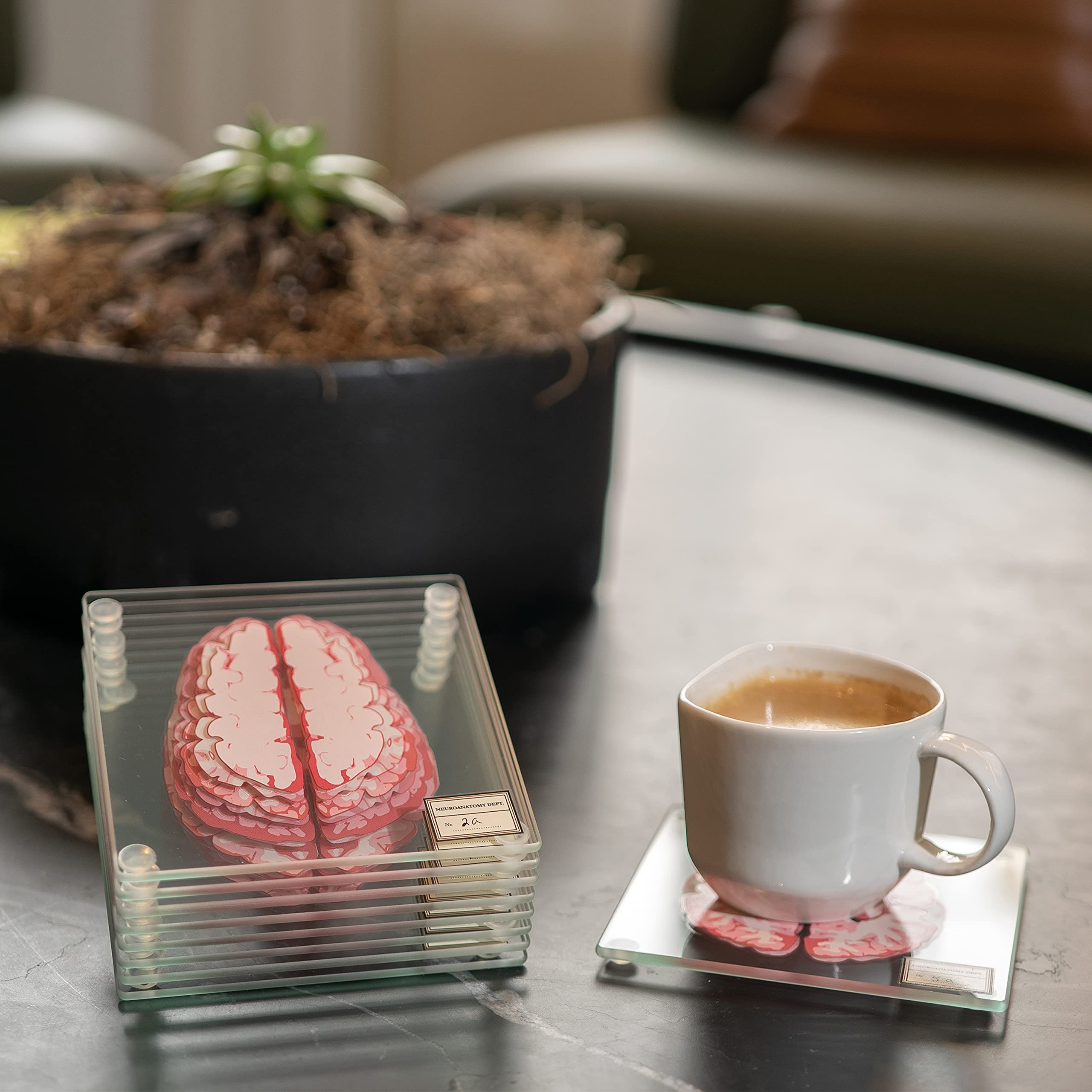 Generix Geek beside a hand and mug for size scale, clarifies real dimensions