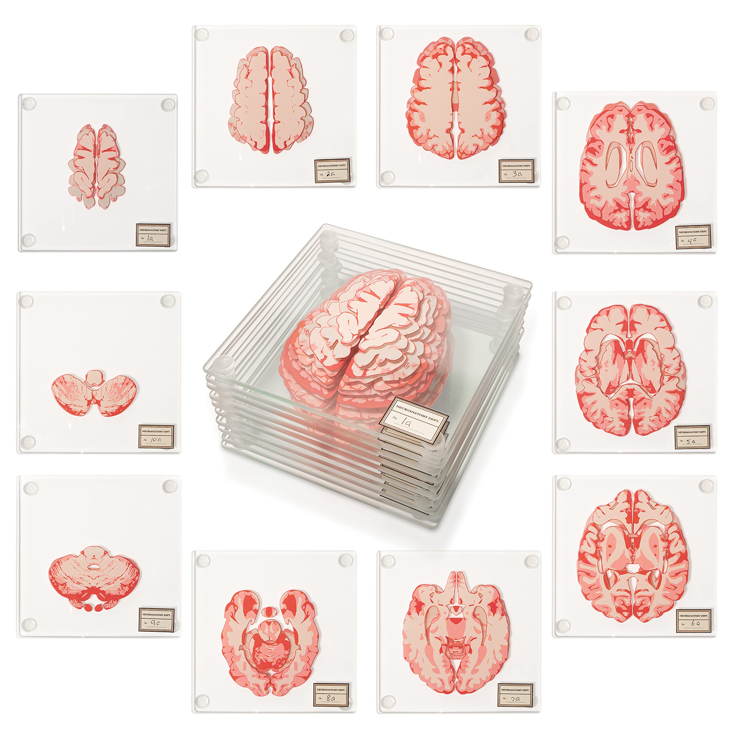 Generix Geek front packaging showing set of ten brain coasters, great gifting appeal