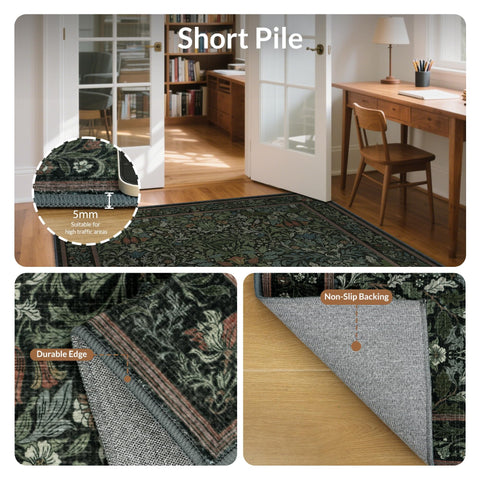 GENIMO rug size comparison showing 8x10 scale for room planning and space fit