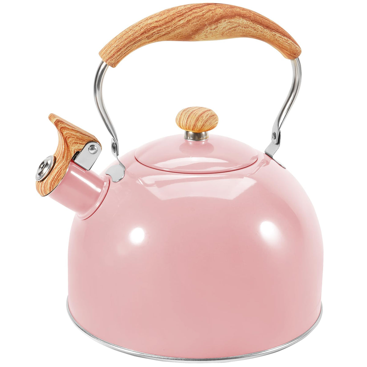 GGC whistling kettle front view showing stainless steel finish and large capacity benefit