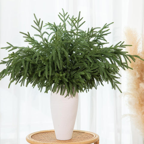 GIAUMA bundle of twelve stems fanned out to show quantity and coverage benefit